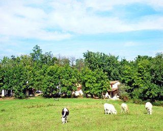 Domaine De Gavaudun Ξενοδοχείο Lacapelle-Biron Εξωτερικό φωτογραφία